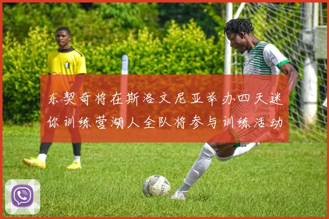 东契奇将在斯洛文尼亚举办四天迷你训练营湖人全队将参与训练活动