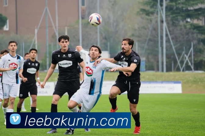 雷火官网登录入口全站App